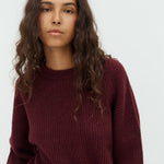 Gillian_Fig_Model_1